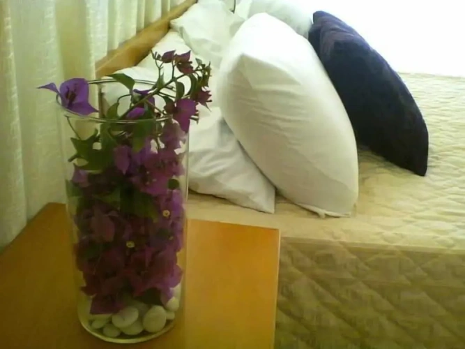 1 Bedroom Apartment with balcony and with sea view