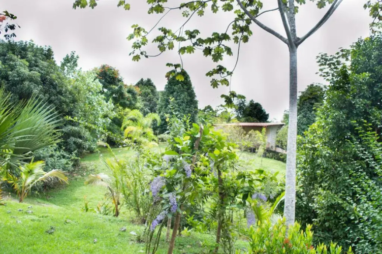 Blue Banyan Inn