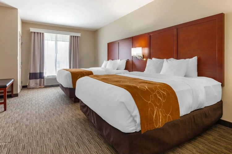 Quadruple Suite