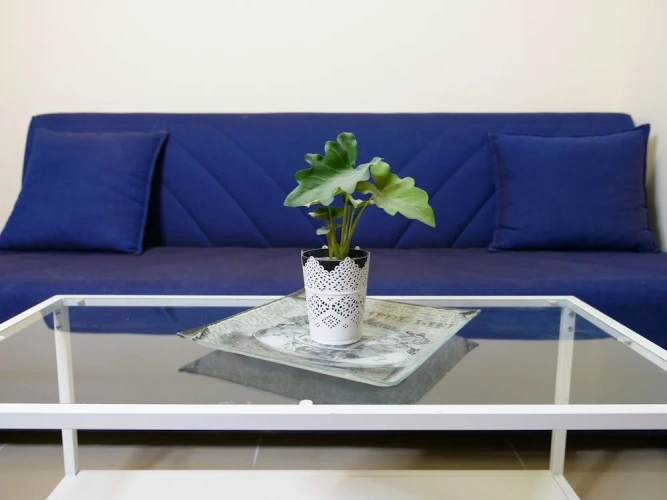 1 Bedroom Standard Penthouse room
