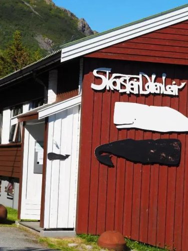Skarsteindalen leir