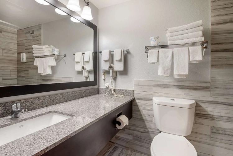 Business Double Suite