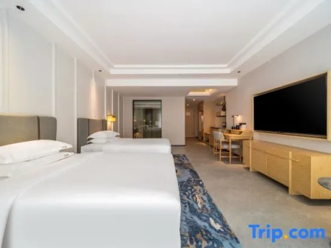 Standard Double room with balcony and with sea view