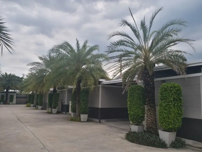 The 9 Resort