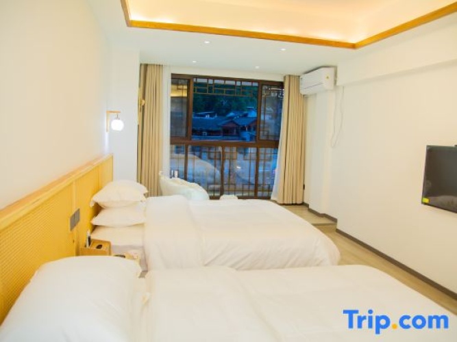 Deluxe Twin room with balcony and with river view