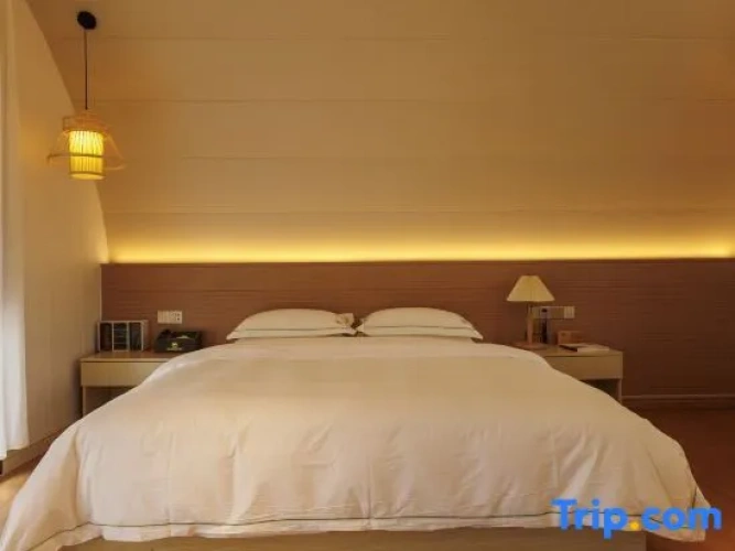 Standard Double room with lake view