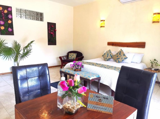 Deluxe Double room with pool view