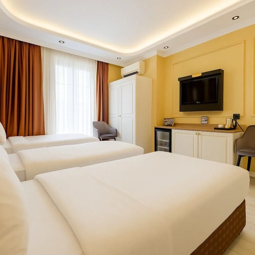 Deluxe Triple room