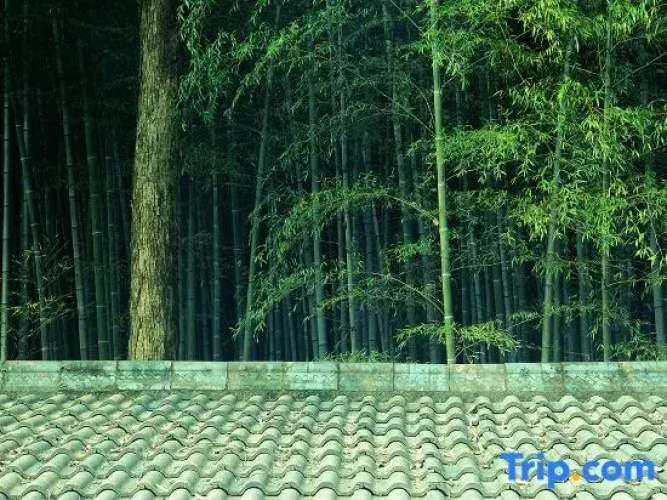 Shaoxing Rice House homestay
