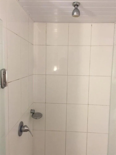 ibis Lins