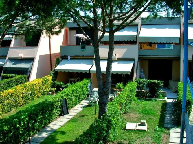 1 Bedroom Basement Apartment
