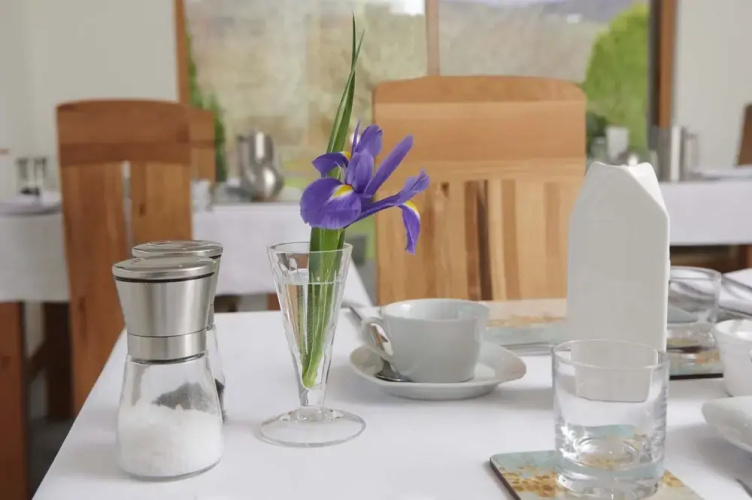 Woodlands Bed & Breakfast and Self Catering