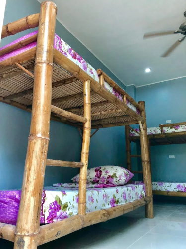 Lionfish Backpackers Malapascua