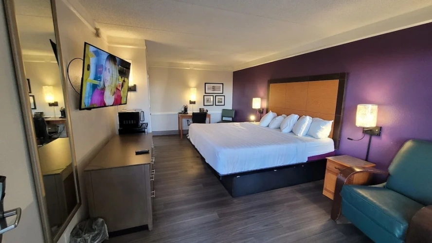 Luxury Suite