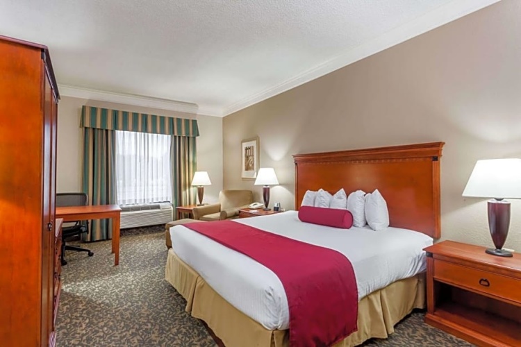1 Bedroom Single Suite