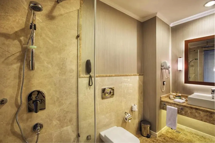 Deluxe Single room