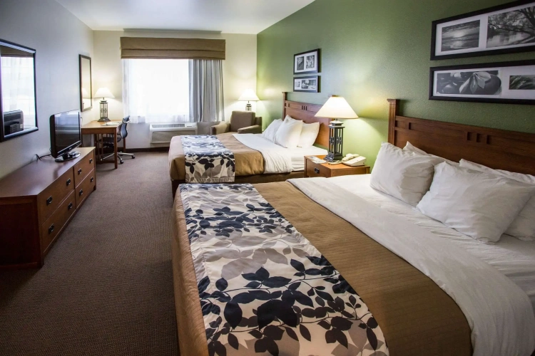 Standard Quadruple room