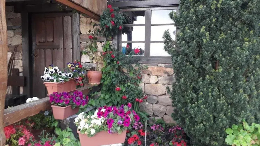 Posada Torcaz
