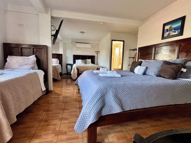 1 Bedroom Presidential Suite