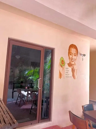 Macondo Raíz Holbox
