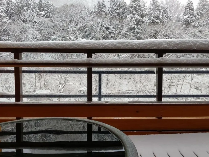 Deluxe Double room with river view