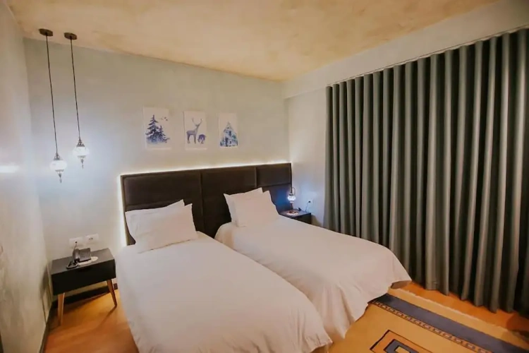 Deluxe Twin room