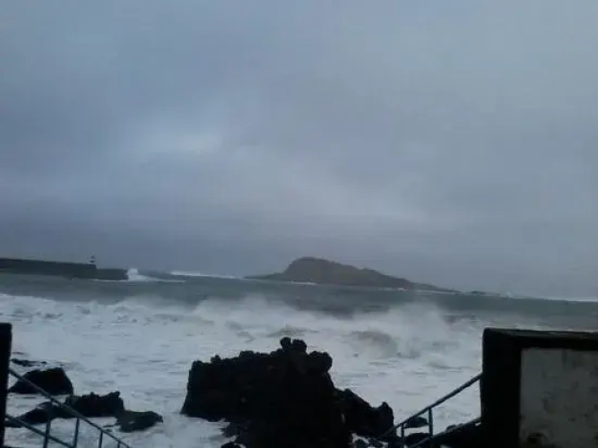 Boina de Vento
