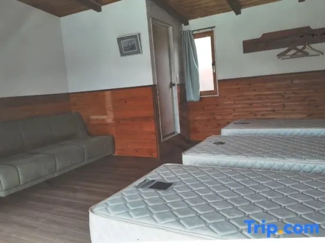Standard Single room with ocean view