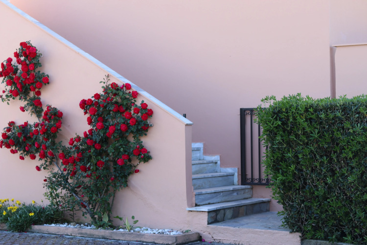 佩格萨斯酒店外景图