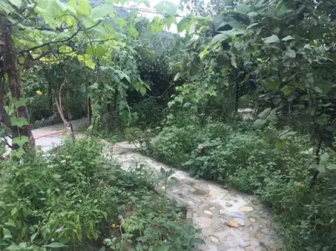 Beijing Fanlin Ecological Homestay