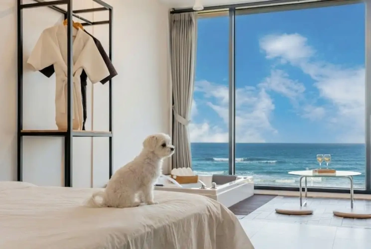 1 Bedroom Standard room