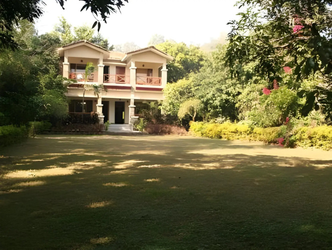 Tiger Camp