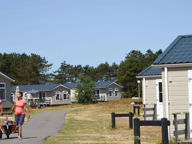 Comfortable Chalet in the Texel Dune Areal