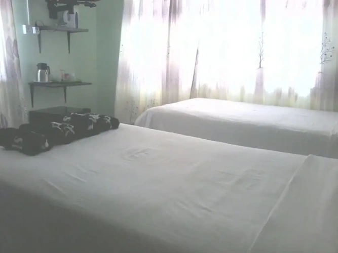 Standard Double room with garden view