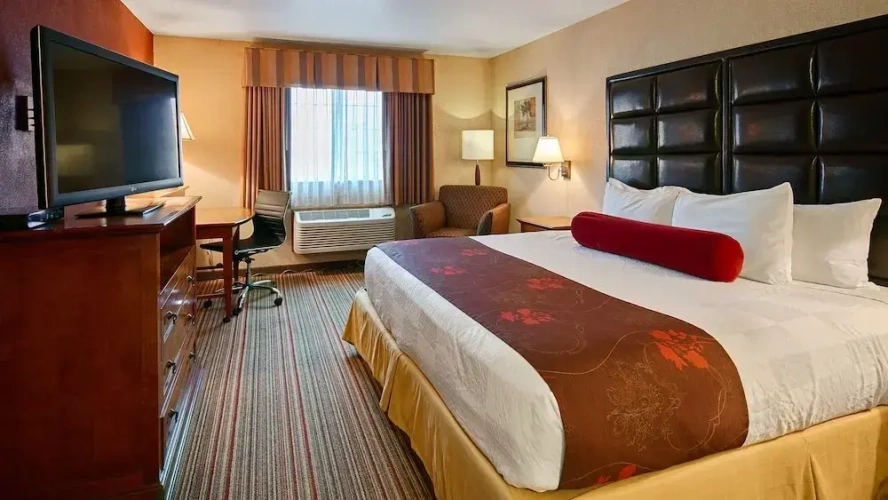 Standard Double Suite