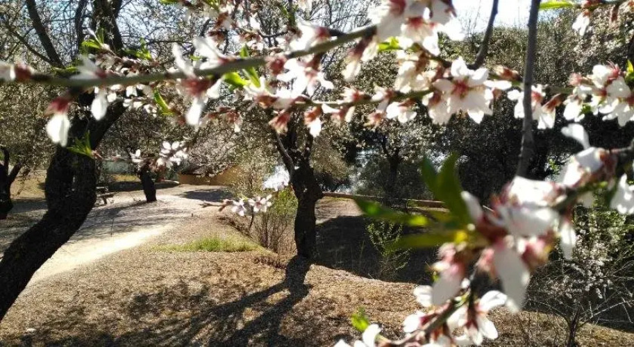 Villa CorneliusOver view