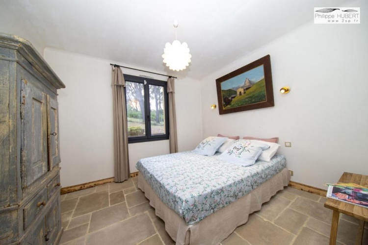 Standard Double room with garden view
