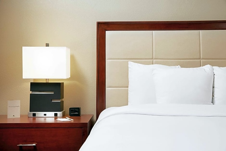 Executive Double Suite