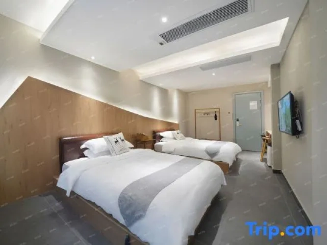 Standard Twin room with mountain view