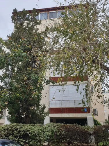 Comfortable apartment Over view