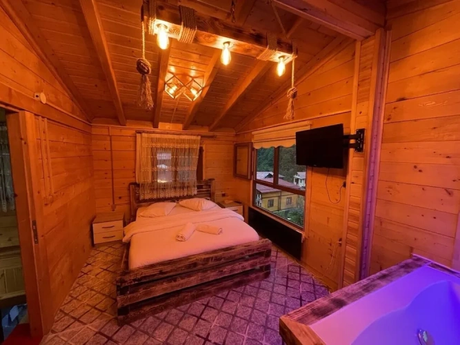 Standard Double room with mountain view