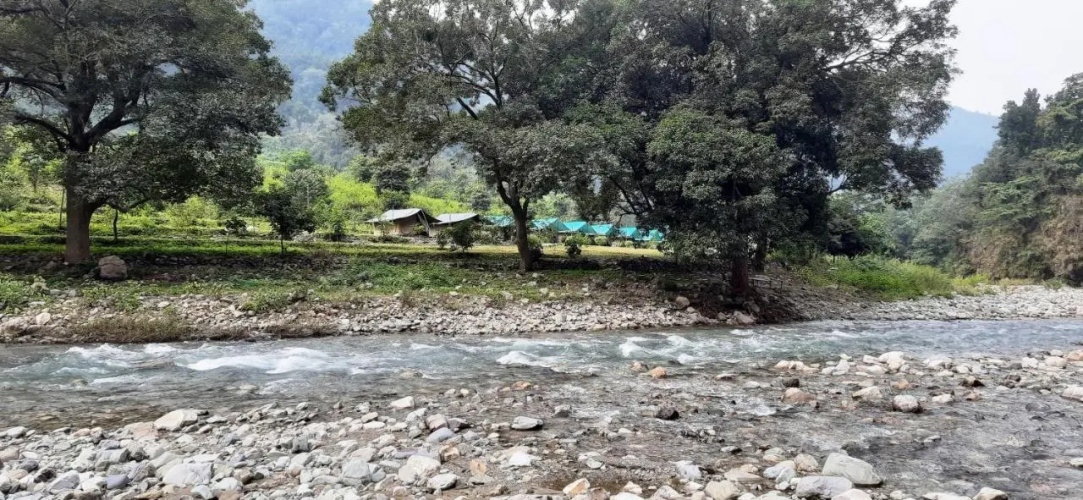 The Raajas - Camp & Resorts