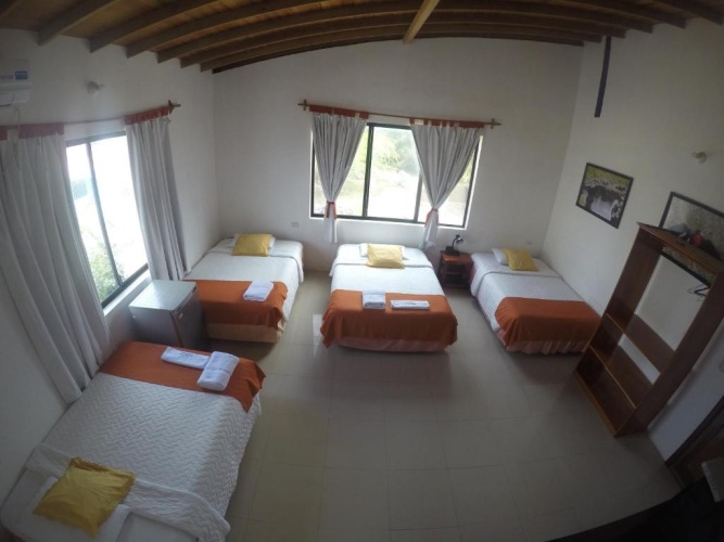 Standard Quadruple room
