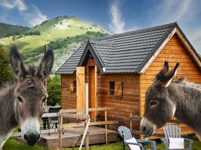 Deluxe room with mountain view