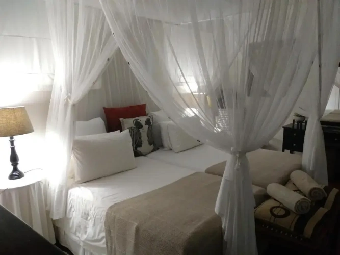 Luxury Twin room with view