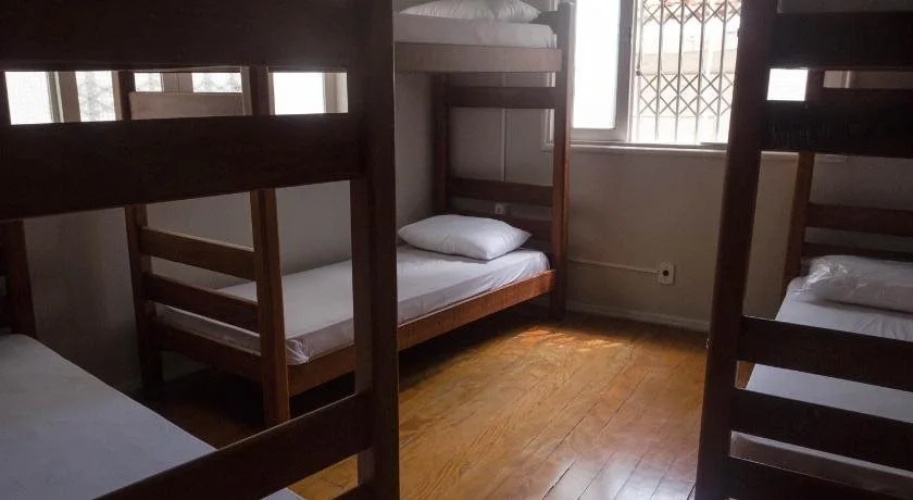 The Backpacker Cat Hostel