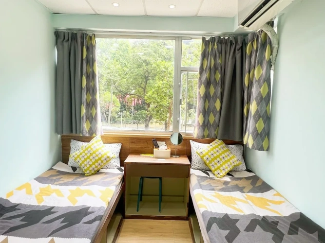 Classic Twin room with city view