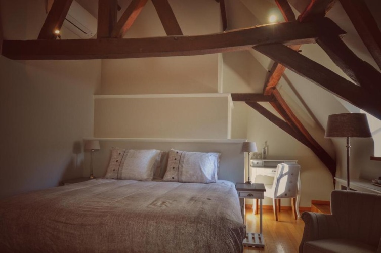 Standard Double room with garden view
