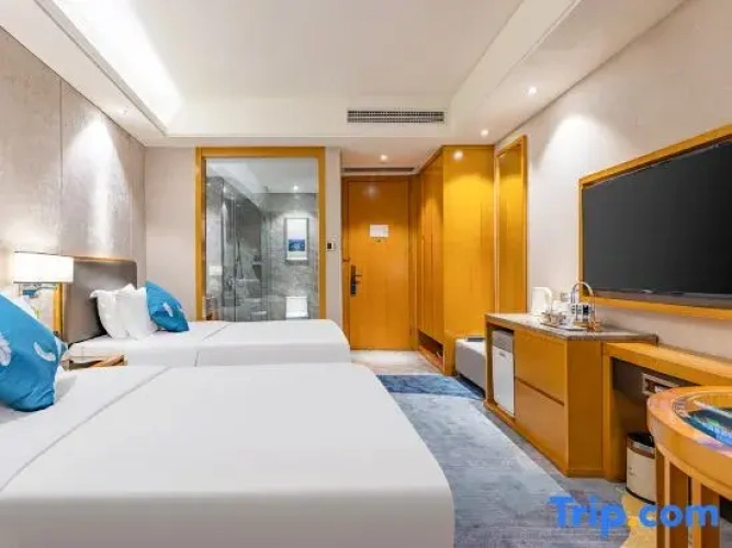 Standard Double room with city view