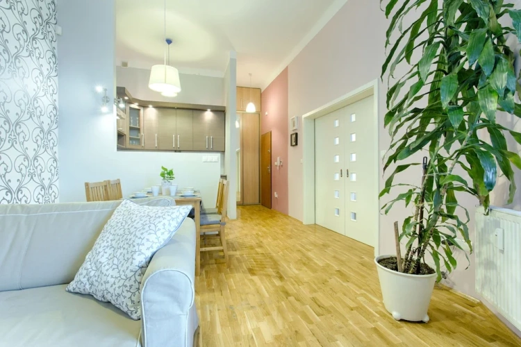 1 Bedroom Deluxe Apartment